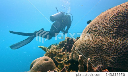 Scuba diver swimming past a massive brain coral and other marine life on a healthy tropical coral reef, exploring the colorful underwater ecosystem and enjoying an adventure in the clear blue ocean Scuba diver swimming past a massive brain coral and other marine life on a healthy tropical coral reef, exploring the colorful underwater ecosystem and enjoying an adventure in the clear blue ocean 143832650