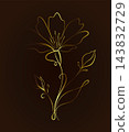 A golden flower drawn with a single line on a dark background. Hand-drawn. Not AI. Vector illustration. 143832729