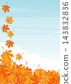 autumn maple leaves falling against a light blue sky with white clouds 143832836