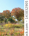 Autumn Natural Stick Garden 143832905