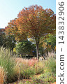 Autumn Natural Stick Garden 143832906
