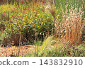 Autumn Natural Stick Garden 143832910