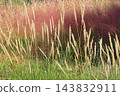 Autumn Natural Stick Garden 143832911
