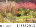 Autumn Natural Stick Garden 143832913