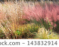 Autumn Natural Stick Garden 143832914