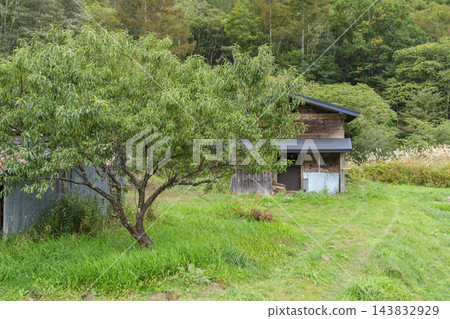 小屋和蒲葦草 143832929