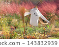 Autumn Natural Stick Garden 143832939
