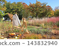 Autumn Natural Stick Garden 143832940