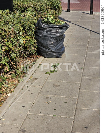 Garden Waste Bag Beside Pruned Rose Bushes on City Lawn Garden Waste Bag Beside Pruned Rose Bushes on City Lawn 143833964
