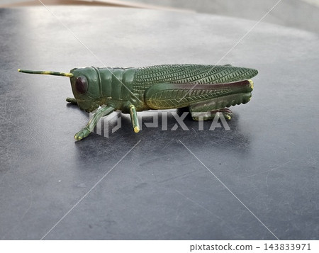 Green grasshopper figurine on dark tabletop in cafe Green grasshopper figurine on dark tabletop in cafe 143833971