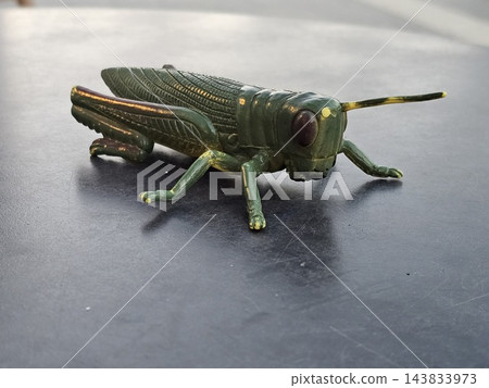 Close-up of green insect figurine resting on tabletop Close-up of green insect figurine resting on tabletop 143833973