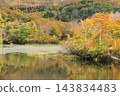 Mount Gassan/Jizo Pond (Nishimurayama District, Yamagata Prefecture, Japan) is at its peak for autumn foliage. Mount Gassan/Jizo Pond (Nishimurayama District, Yamagata Prefecture, Japan) is at its peak for autumn foliage. 143834483
