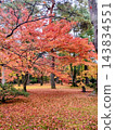 Landscape with autumn leaves 143834551