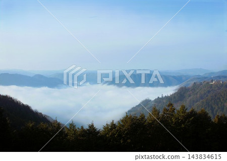 雲彩海的北美野牛松山城堡 雲彩海的北美野牛松山城堡 143834615