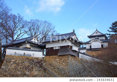 備中松山城（天守閣、城門、二重塔樓） 143834631