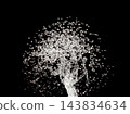 Tree-shaped water explosion with intricate branches of liquid and scattered droplets, forming a luminous abstract silhouette against  black background isolated, photography selective focus 143834634