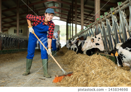 Young woman sweeping hay in cowshed 143834698