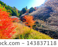 Four-season cherry blossoms and trees with autumn foliage Four-season cherry blossoms and trees with autumn foliage 143837118