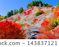 Autumn mountains enveloped in vibrant autumn foliage and cherry blossoms. Autumn mountains enveloped in vibrant autumn foliage and cherry blossoms. 143837121