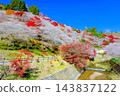 A landscape with cherry blossoms and a river. A landscape with cherry blossoms and a river. 143837122