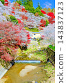 A landscape with cherry blossoms and a river (vertical) A landscape with cherry blossoms and a river (vertical) 143837123