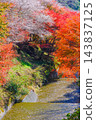 A river flowing through autumn leaves and cherry blossoms (vertical) A river flowing through autumn leaves and cherry blossoms (vertical) 143837125