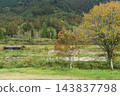 Hut and birch forest 143837798