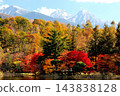 長野縣智野市立科湖岸邊的秋葉樹，背景是白雪皚皚的山脈。 143838128
