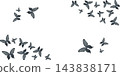 Black swallowtail butterflies arranged around the edges of a white background, forming an airy watercolor frame. Elegant design with copy space perfect for invitations, greeting cards and posters 143838171