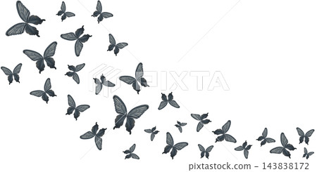 Black swallowtail butterflies forming an elegant watercolor frame on a white background. Delicate decorative composition with copy space perfect for invitations, greeting cards, posters and packaging Black swallowtail butterflies forming an elegant watercolor frame on a white background. Delicate decorative composition with copy space perfect for invitations, greeting cards, posters and packaging 143838172