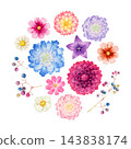 秋季花卉、植物、水彩插圖 143838174