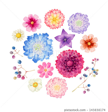秋季花卉、植物、水彩插圖 秋季花卉、植物、水彩插圖 143838174