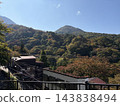秋葉覆蓋的山景 143838494