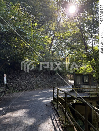 陽光透過樹林照亮的小路 143838495