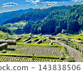 Beautiful autumn rice terraces 143838506