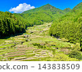 Scenery with rice terraces 143838509