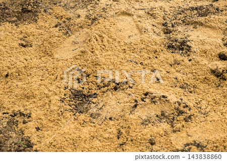 A detailed view reveals sandy soil with fine grains, small rocks, and a textured surface, showing earthy tones and natural elements. A detailed view reveals sandy soil with fine grains, small rocks, and a textured surface, showing earthy tones and natural elements. 143838860