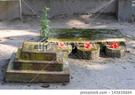 Sacred Tulsi Mancha altar with holy basil plant and red hibiscus flowers. Traditional Hindu worship shrine in a rural South Asian courtyard. Sacred Tulsi Mancha altar with holy basil plant and red hibiscus flowers. Traditional Hindu worship shrine in a rural South Asian courtyard. 143838884