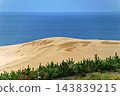 The Tottori Sand Dunes and the Sea of Japan viewed through a pine forest 143839215