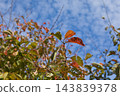 The arrival of autumn 143839378