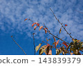 The arrival of autumn 143839379