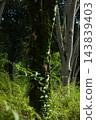 The arrival of autumn 143839403