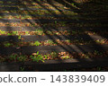 The arrival of autumn 143839409