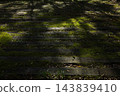 The arrival of autumn 143839410