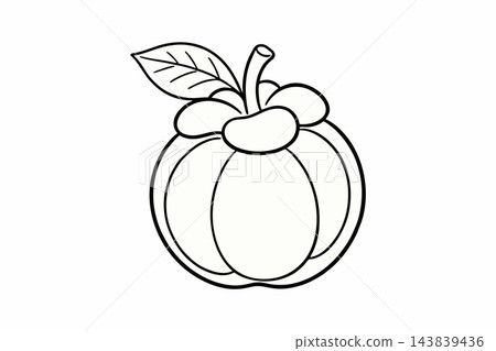 Mangosteen Fruit with Leaf Line Art Vector Outline Illustration 143839436