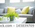 A living room bathed in soft natural light. 143839709