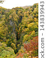 [Takayama Village: "Yataki" - a vertical waterfall with a drop of approximately 180m, located in the Matsukawa Valley at an altitude of 2305m] 143839943