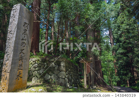 通往山形縣出羽三山的杉樹小徑 通往山形縣出羽三山的杉樹小徑 143840319