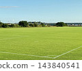 Natural grass soccer field 143840541
