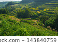 大分縣田田秋天的風景 143840759